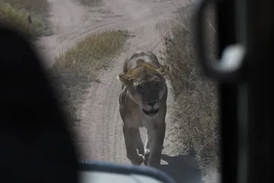 DSC_3943 (Large).JPG